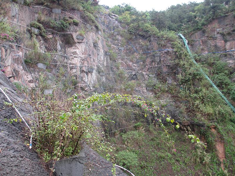 廣東邊坡防護網