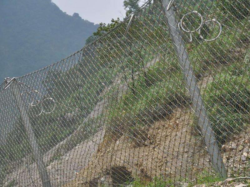 邊坡錨固防護(hù)網(wǎng) 邊坡錨固防護(hù)網(wǎng)