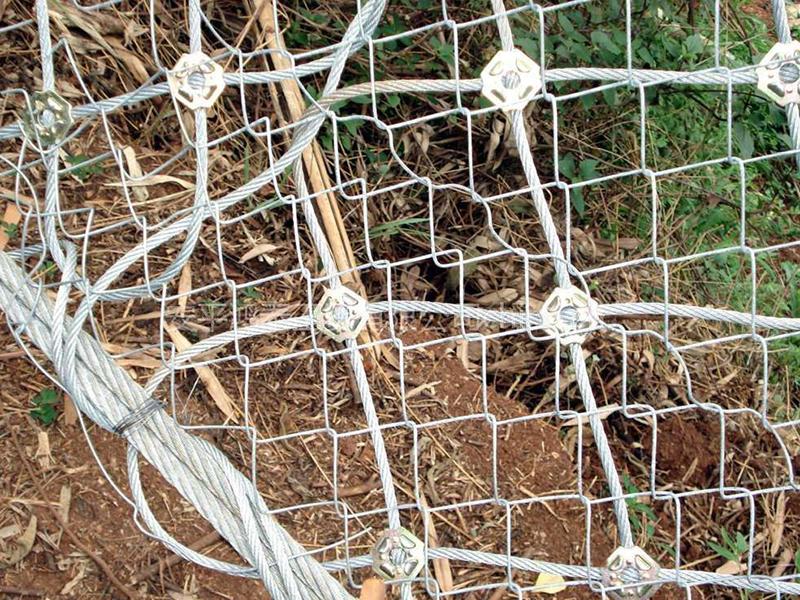 云南布魯克網(wǎng)