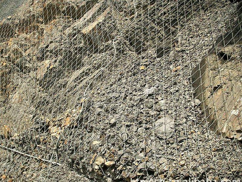 云南布魯克網(wǎng)