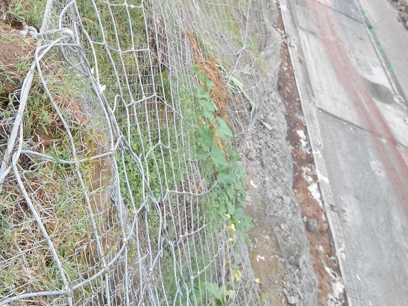 TC-65B型主動防護(hù)網(wǎng) TC-65B型主動防護(hù)網(wǎng)