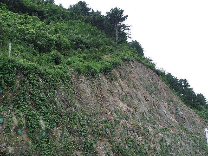 柔性主動防護網